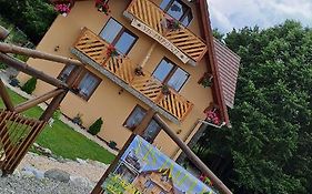 Vis Implinit Transfagarasan